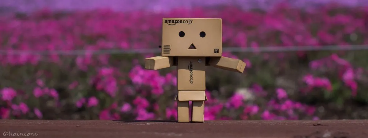 danbo