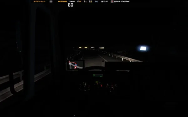 Luminous Direction indicators